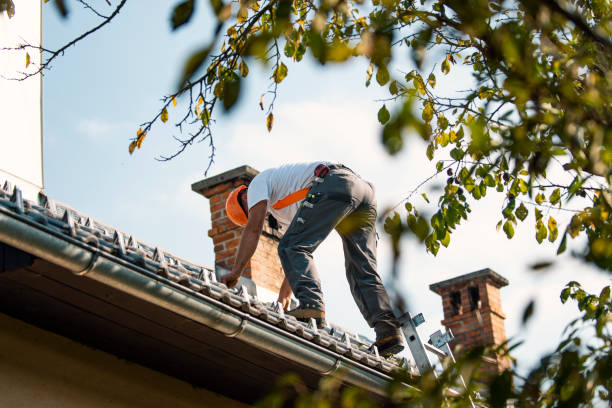Best Roof Ventilation Installation  in Beloit, OH